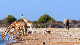 Namibia Gruppenreise
